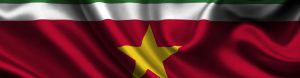SU vlag