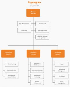 Directie organogram